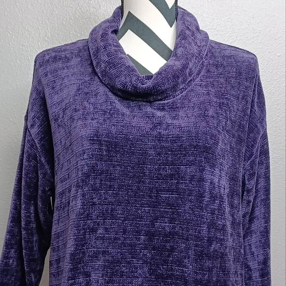NWT J.Jill Blackberry SP Plush Turtleneck Sweater - Picture 3 of 12